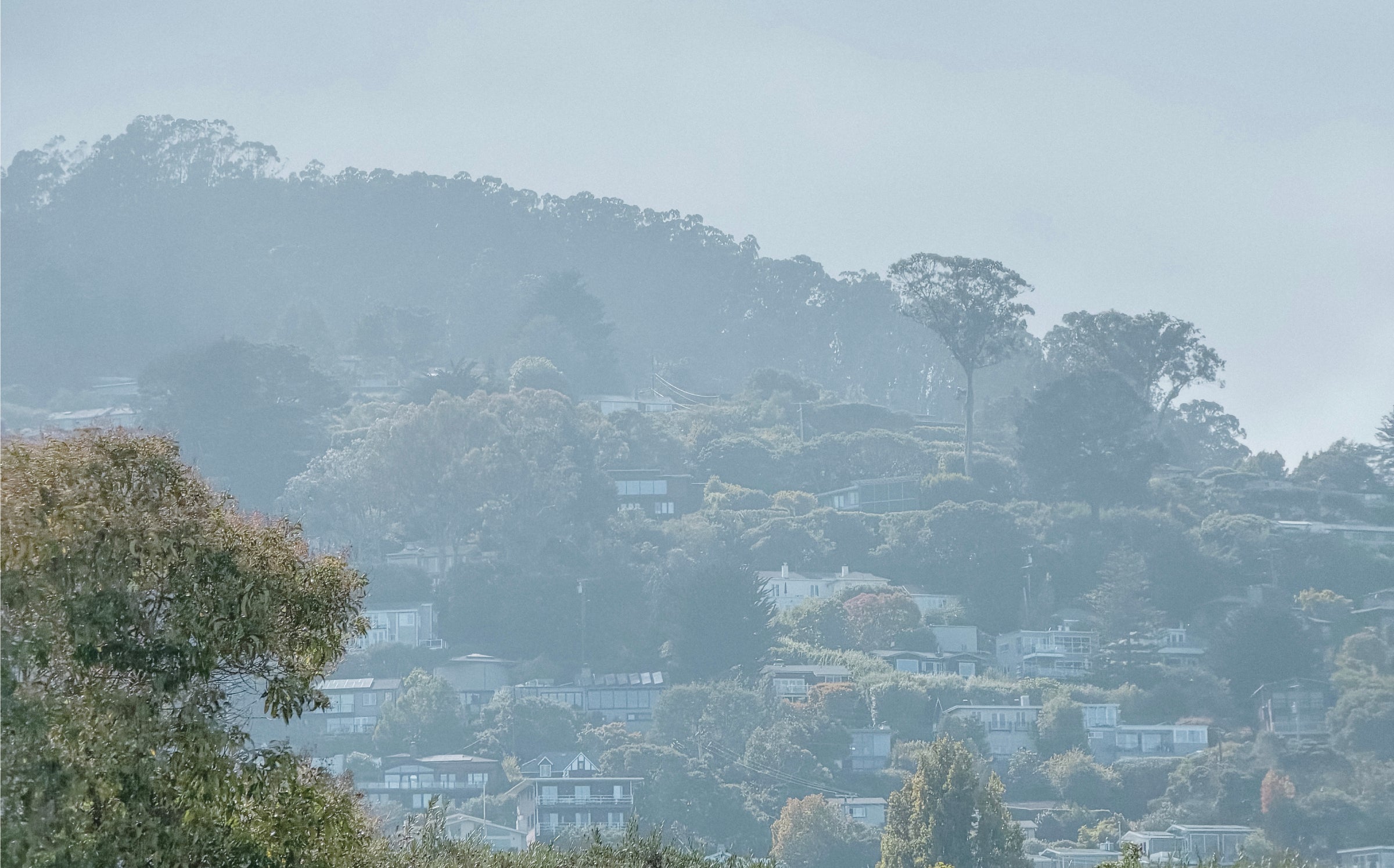A Quiet Morning in Sausalito
