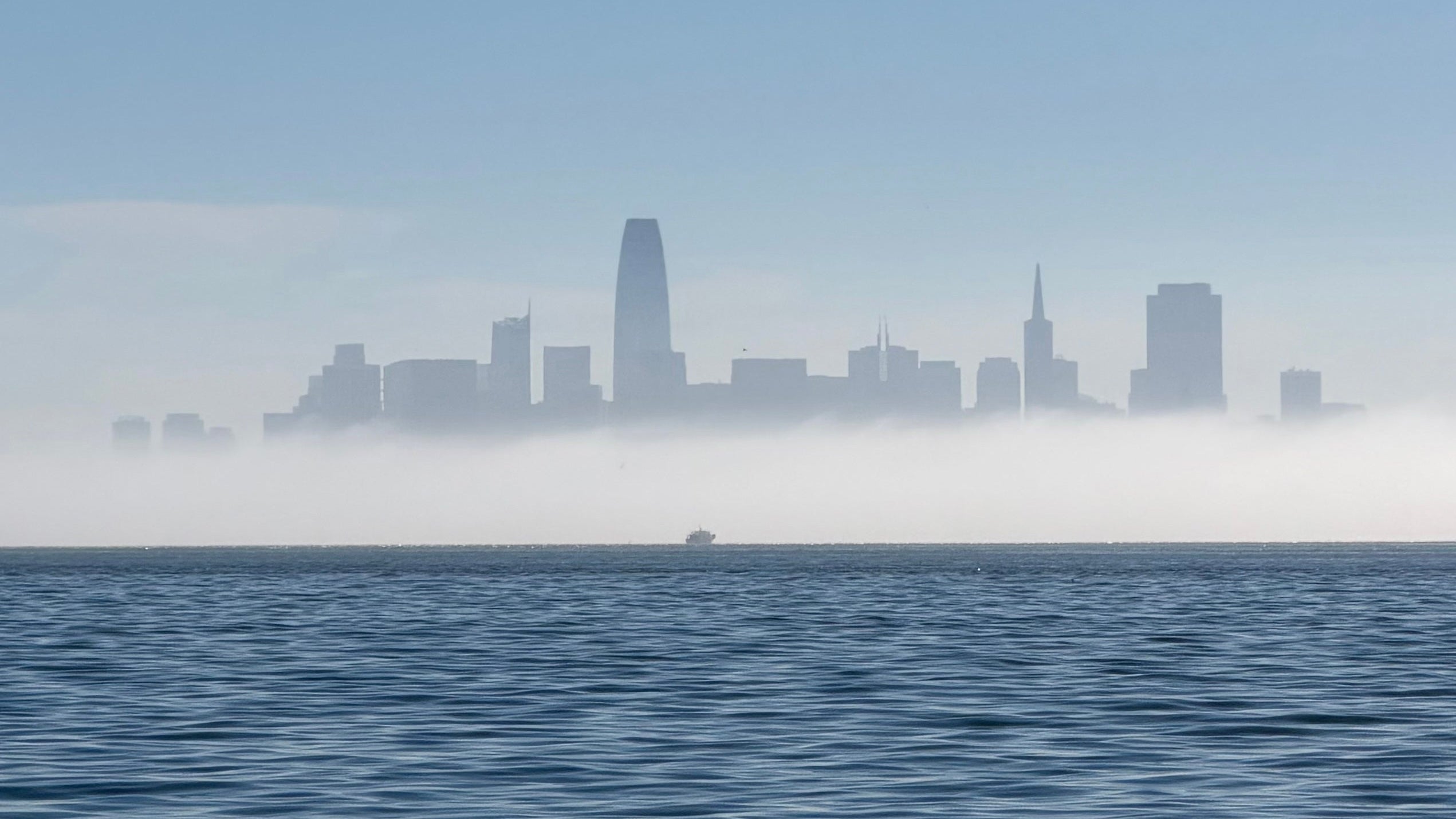 The Fog We Sail In