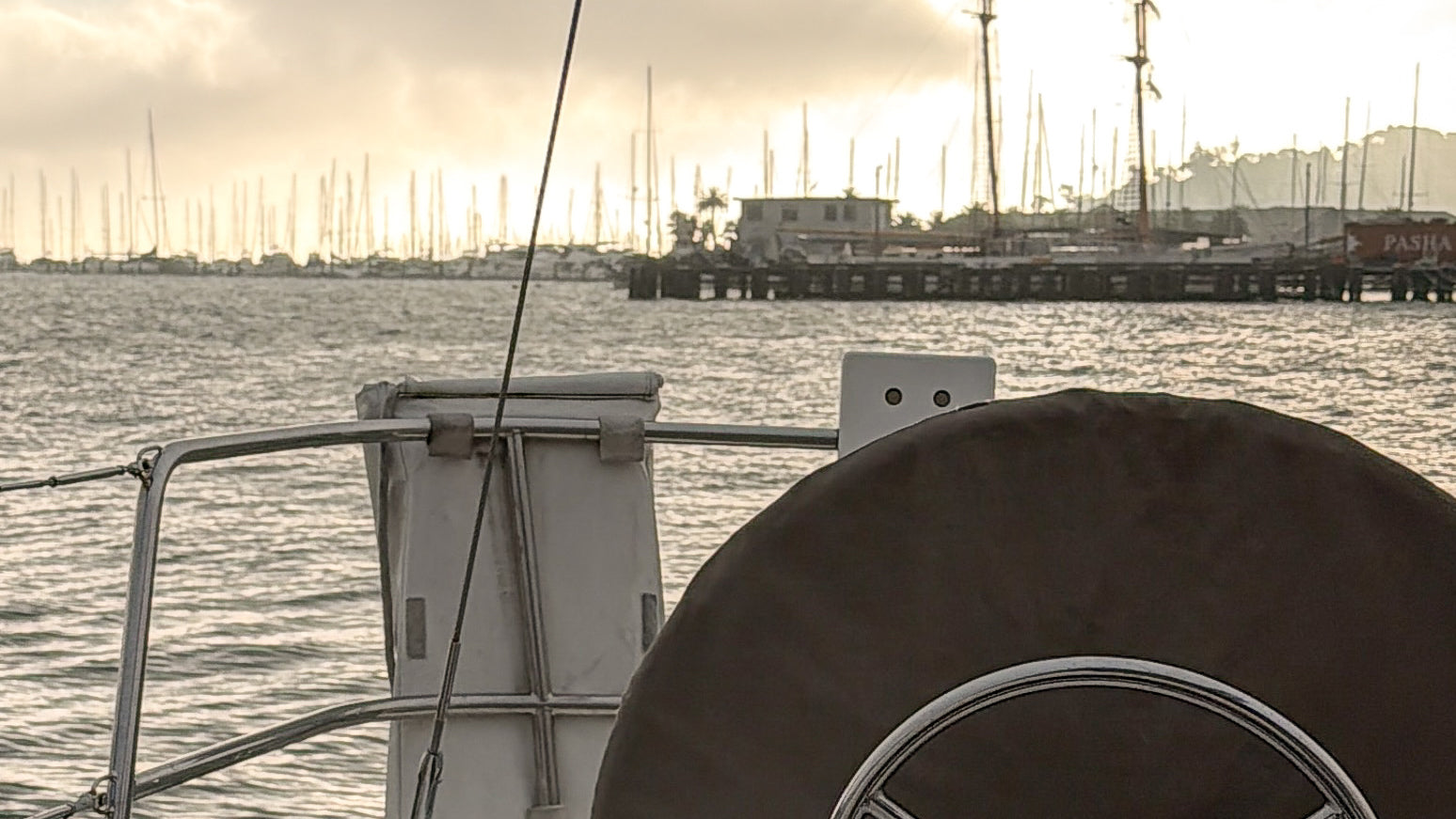 Mainsail: The Lightest Color in the Avelamer Palette