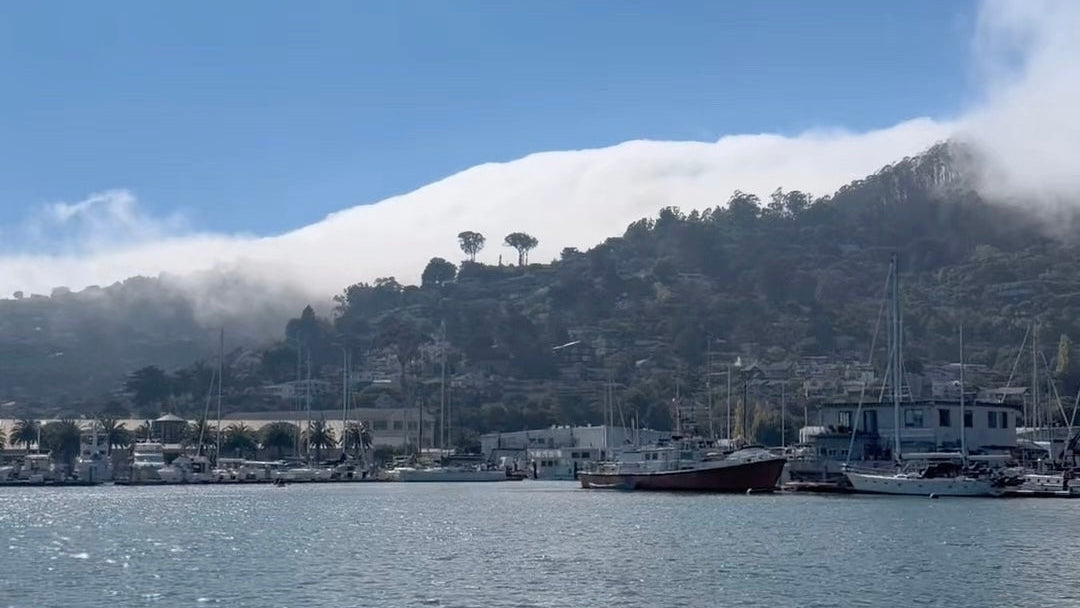 Why Sausalito, Not Generic Coastal