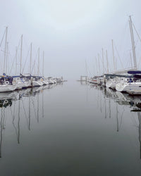 Ebbtide Tee - Morning Fog