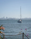 Sailboat on water in Sausalito with the San Francisco skyline in the background as part of the avelamer brand world