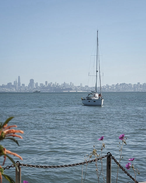 Sailboat on water in Sausalito with the San Francisco skyline in the background as part of the avelamer brand world