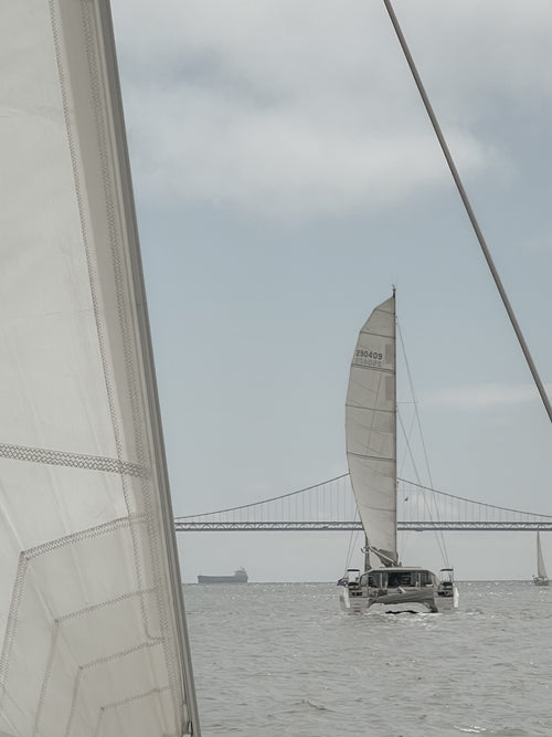 View of a catamaran sailing toward the Bay Bridge in San Francisco.