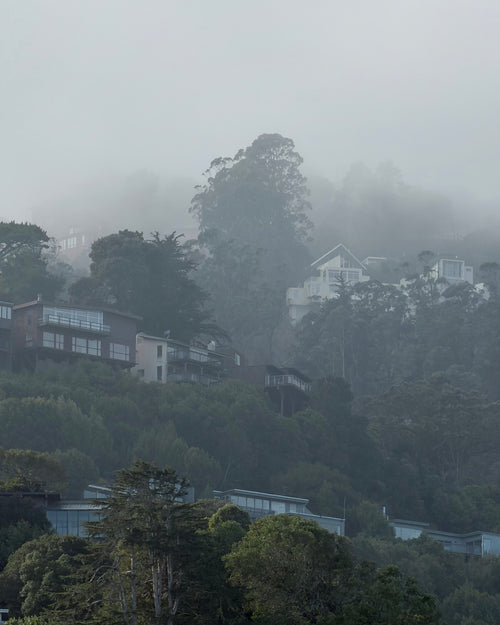 Houses nestled among trees on a foggy hillside in Sausalito, California. 