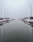 Sailboats in their slips at a foggy marina in Sausalito