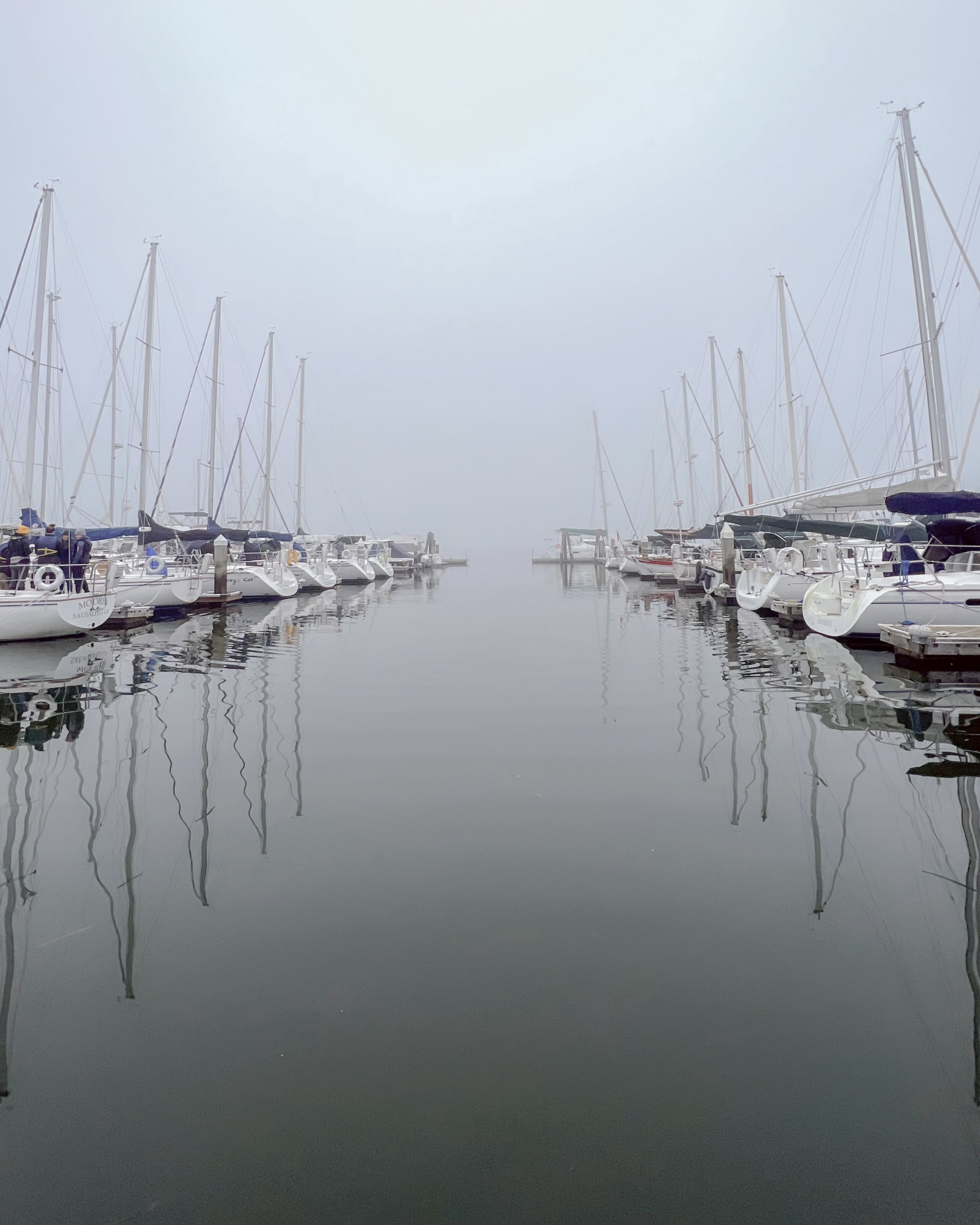 Sailboats in their slips at a foggy marina in Sausalito