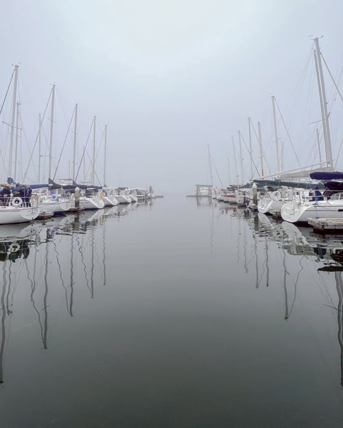 Sailboats in their slips at a foggy marina in Sausalito