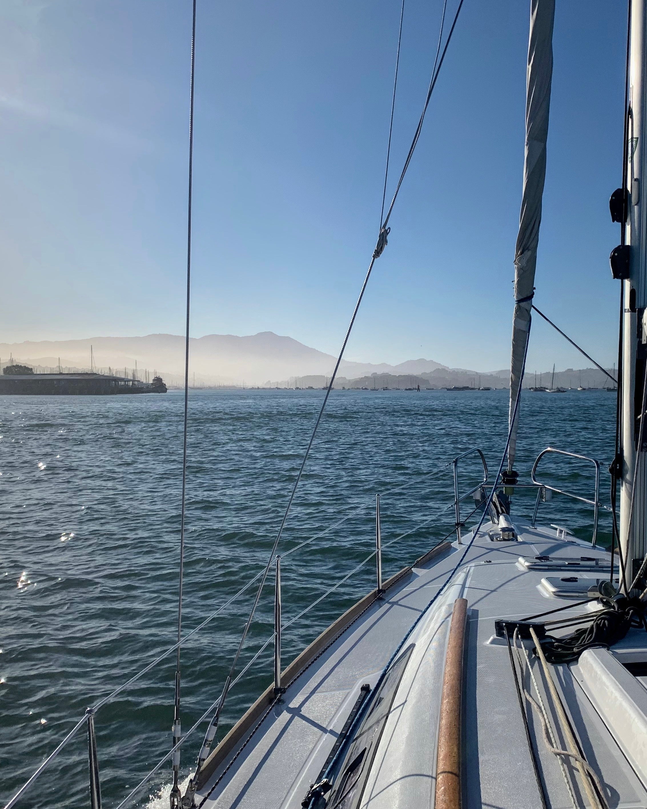 Sailboat on the water entering Richardson Bay in Sausalito (Northern California) with a clear sky and Mount Tamalpais in the Background as part of the Avelamer brand world.