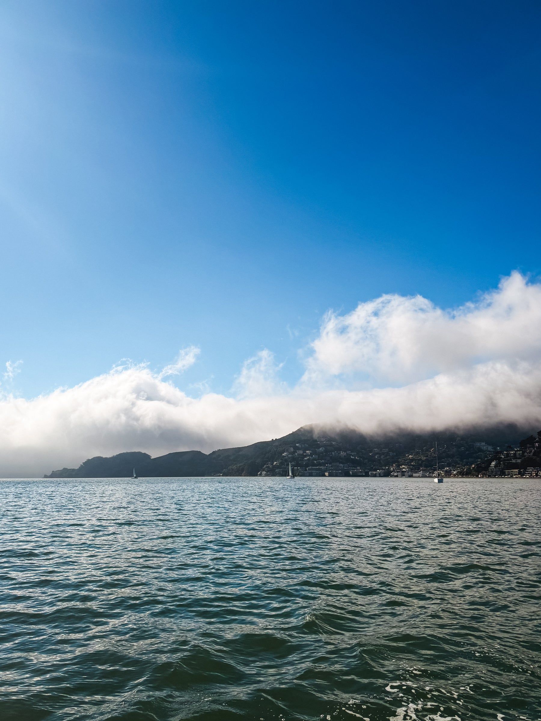 San Francisco Bay in the foreground and Sausalito hillside with fog rolling over in the background. 