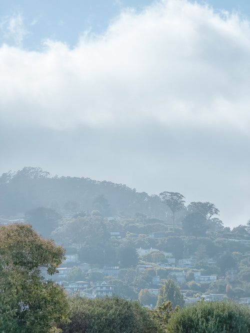 Sausalito hillside homes with fog rolling over the hills