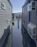 Two Sausalito houseboats docked next to each other. 