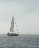 Sailboat with a large sail on a body in San Francisco Bay in heavy fog as part of the Avelamer brand world.
