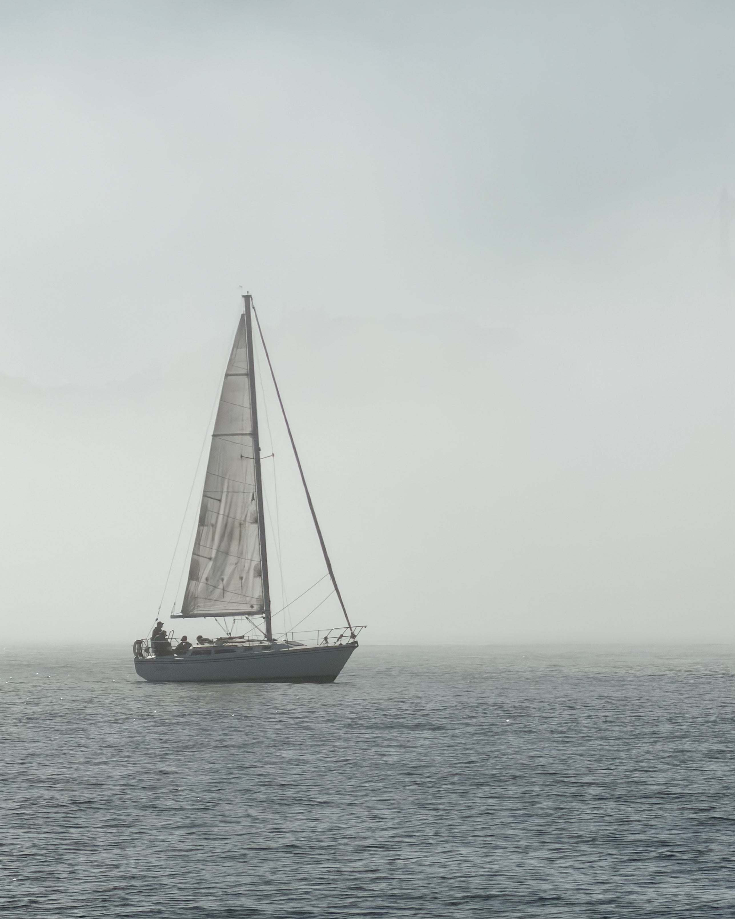 Sailboat with a large sail on a body in San Francisco Bay in heavy fog as part of the Avelamer brand world.
